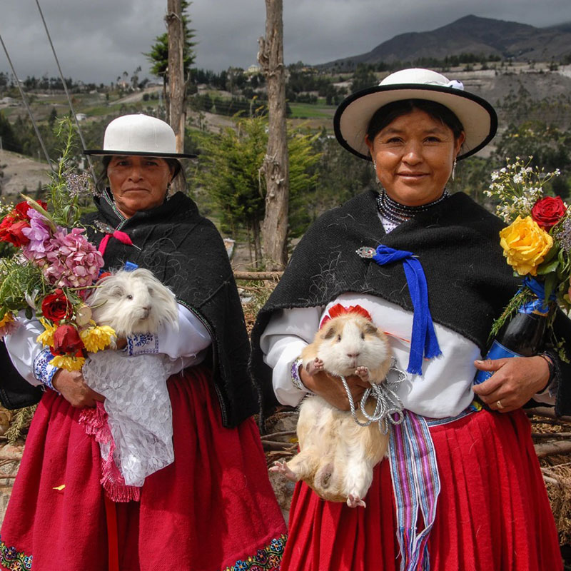 Fundación Apertura Ecuador